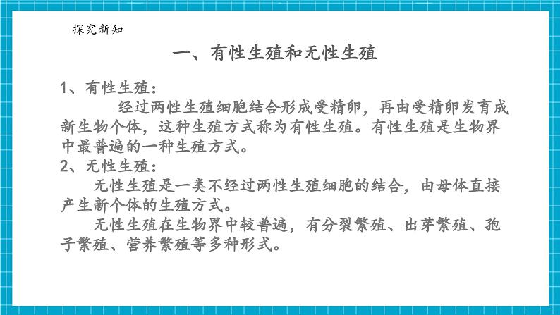 浙教版七下科学 1.3 植物的生殖与发育（4）第5页