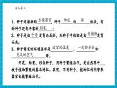 【新教材核心素養(yǎng)】浙教版科學(xué)七年級(jí)下冊(cè)1.3 植物的生殖與發(fā)育 第4課時(shí)（課件+同步教案+導(dǎo)學(xué)案+素材）