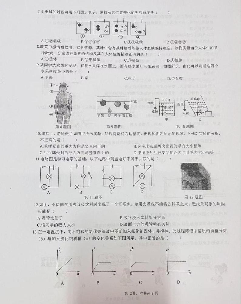 浙江省丽水市青田县第二中学教育集团2024-2025学年八年级下学期开学测试科学试题第2页