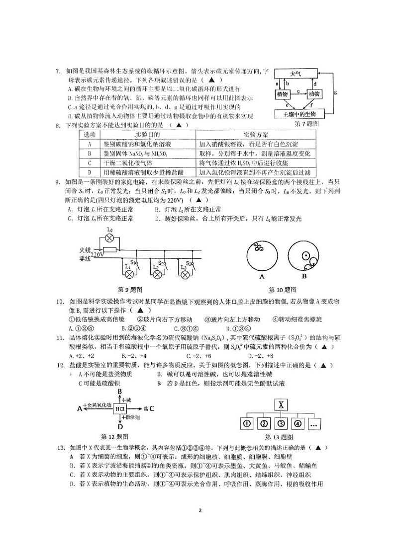 浙江省宁波市海曙区储能学校2024-2025学年九年级下学期开学考科学试题第2页