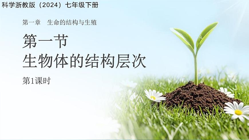 第一章 第一节生物体的结构层次 第一课时 课件 科学浙教版（2024）七年级下册第1页