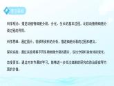 第一章 第一節(jié)生物體的結(jié)構(gòu)層次 第一課時 課件 科學(xué)浙教版（2024）七年級下冊