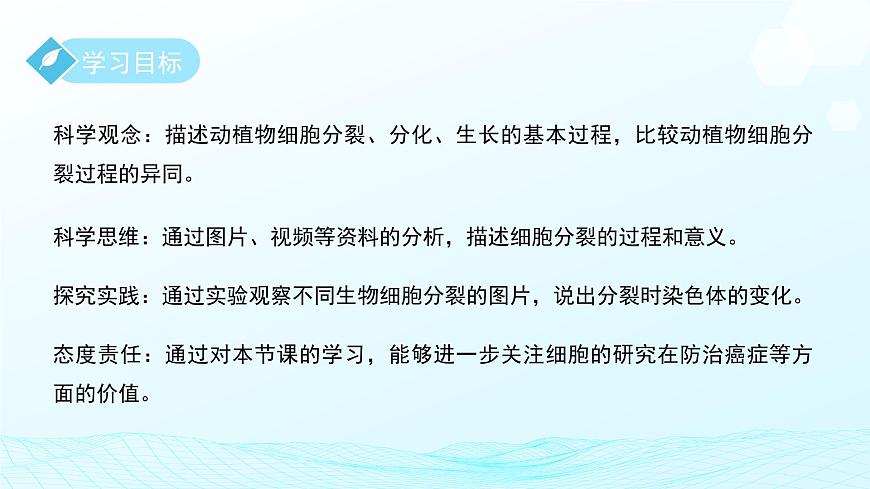 第一章 第一节生物体的结构层次 第一课时 课件 科学浙教版（2024）七年级下册第2页