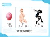 第一章 第一節(jié)生物體的結(jié)構(gòu)層次 第一課時 課件 科學(xué)浙教版（2024）七年級下冊