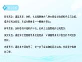第一章 第一節(jié) 生物體的結(jié)構(gòu)層次 第二課時 課件 科學(xué)浙教版（2024）七年級下冊