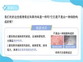 第一章 第一節(jié) 生物體的結(jié)構(gòu)層次 第二課時 課件 科學(xué)浙教版（2024）七年級下冊