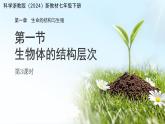 第一章 第一節(jié) 生物體的結(jié)構(gòu)層次 第三課時 課件 科學(xué)浙教版（2024）七年級下冊