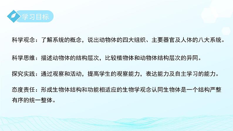 第一章 第一节 生物体的结构层次 第三课时 课件 科学浙教版（2024）七年级下册第2页