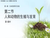 第1章 第2節(jié) 人和動物的生殖與發(fā)育 第1課時 課件 科學(xué)浙教版（2024）七年級下冊