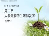 第1章 第2節(jié) 人和動物的生殖與發(fā)育 第2課時 課件 科學(xué)浙教版（2024）七年級下冊