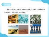 第1章 第2節(jié) 人和動物的生殖與發(fā)育 第2課時 課件 科學(xué)浙教版（2024）七年級下冊