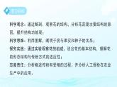 第1章 第3節(jié) 植物的生殖與發(fā)育 第1課時(shí) 課件 科學(xué)浙教版（2024）七年級(jí)下冊(cè)