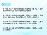 第1章 第3節(jié) 植物的生殖與發(fā)育 第2課時(shí) 課件 科學(xué)浙教版（2024）七年級(jí)下冊(cè)