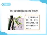 第1章 第3節(jié) 植物的生殖與發(fā)育 第3課時(shí) 課件 科學(xué)浙教版（2024）七年級(jí)下冊(cè)