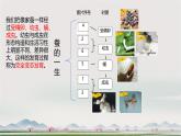 第一章第2節(jié) 人和動物的生殖與發(fā)育（第2課時）（課件，內(nèi)包含視頻）