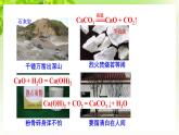 浙教版八下科學(xué) 第三章空氣與生命3.4《二氧化碳》第2課時課件（實(shí)驗(yàn)室制取二氧化碳）