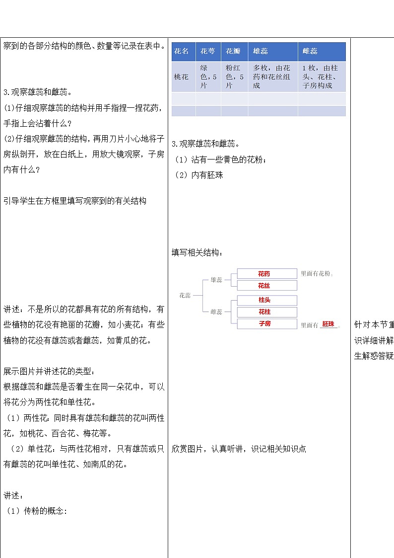 七下新浙教版（2024）初中科学 第一章生命的结构与生殖 1.3《植物的生殖与发育》第1课时  教案 第3页