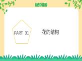 新浙教版（2024）七下科學(xué) 1.3《植物的生殖與發(fā)育》課時1 （課件+教案+分層練習(xí)（原卷版+解析版））