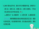 2024九年级化学上册第1章物质及其变化第1节物质的变化习题课件浙教版