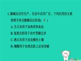 2024九年级化学上册第1章物质及其变化第5节酸和碱之间发生的反应习题课件浙教版