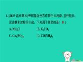2024九年级化学上册第1章物质及其变化第6节几种重要的盐第3课时盐与化肥习题课件浙教版