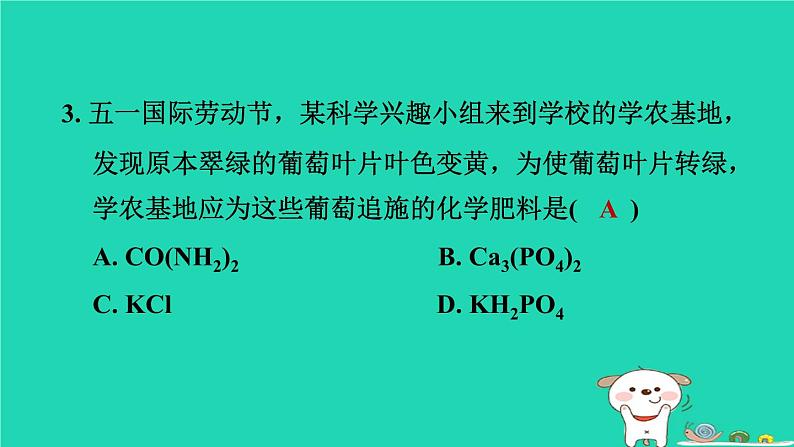 2024九年级化学上册第1章物质及其变化第6节几种重要的盐第3课时盐与化肥习题课件浙教版第4页