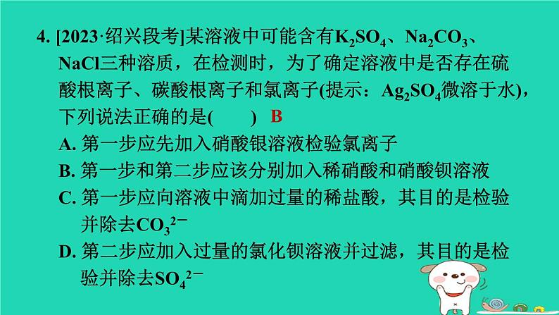 2024九年级化学上册第1章物质及其变化专题训练1离子共存与检验反应先后顺序问题习题课件浙教版第7页