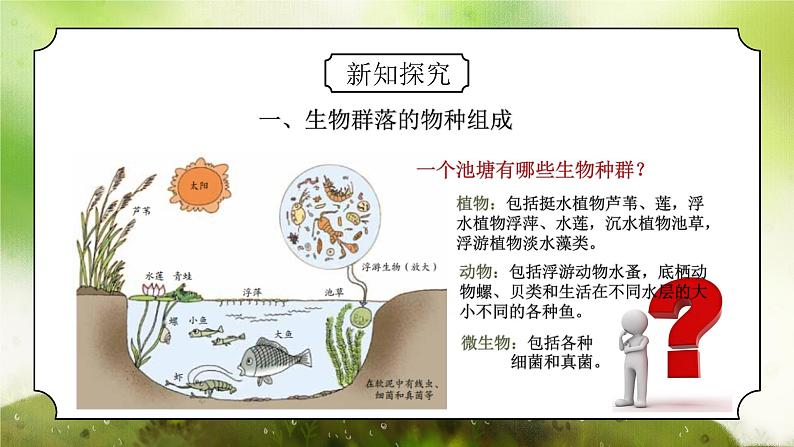 浙教版初中科学九下第2章生物与环境2.3《生物群落》课件第4页