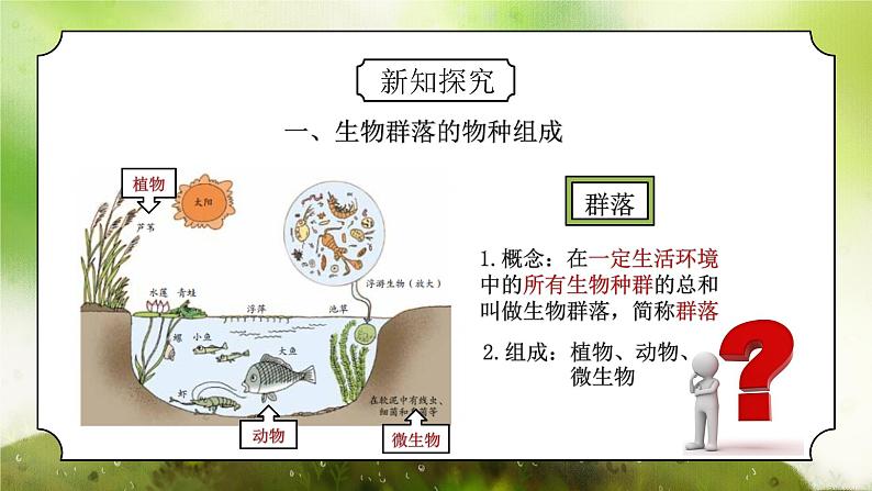 浙教版初中科学九下第2章生物与环境2.3《生物群落》课件第5页