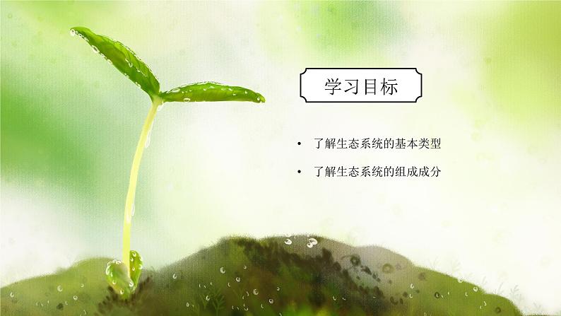 浙教版初中科学九下第2章生物与环境2.4.1《生态系统的结构和功能》课件第3页