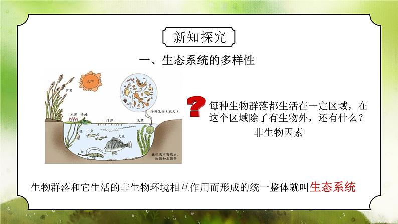 浙教版初中科学九下第2章生物与环境2.4.1《生态系统的结构和功能》课件第4页