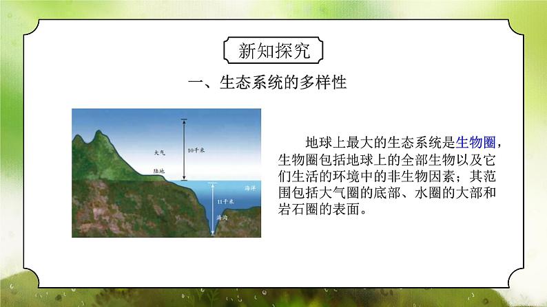 浙教版初中科学九下第2章生物与环境2.4.1《生态系统的结构和功能》课件第5页