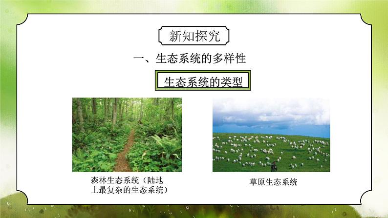 浙教版初中科学九下第2章生物与环境2.4.1《生态系统的结构和功能》课件第6页