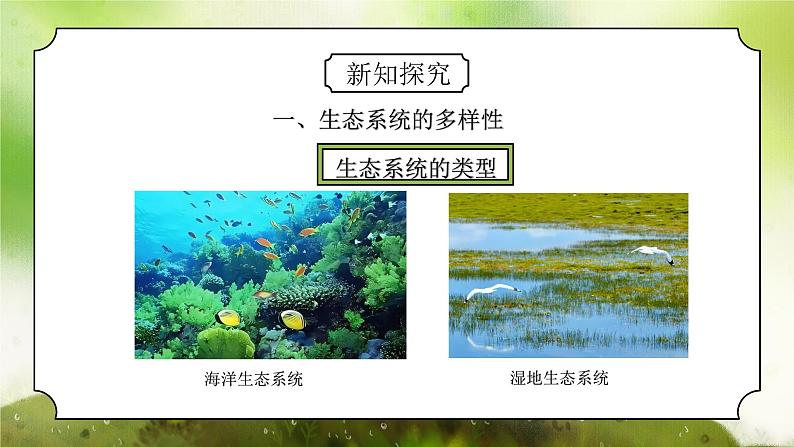 浙教版初中科学九下第2章生物与环境2.4.1《生态系统的结构和功能》课件第8页