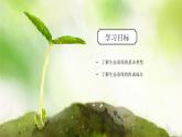浙教版科學九下2.4.1《生態(tài)系統(tǒng)的結(jié)構(gòu)和功能》課件