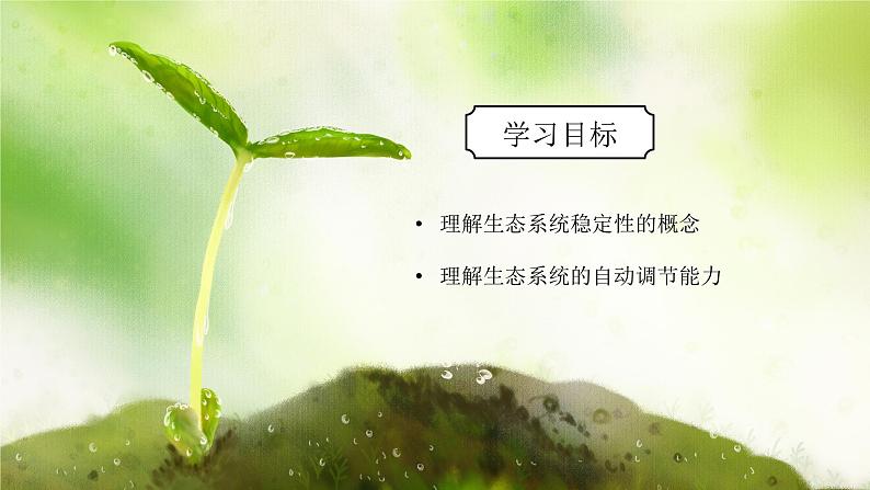 浙教版初中科学九下第2章生物与环境2.5《生态系统的稳定性》课件第3页