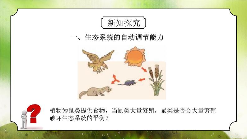 浙教版初中科学九下第2章生物与环境2.5《生态系统的稳定性》课件第4页