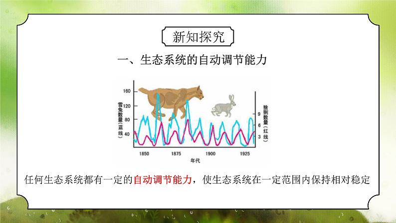 浙教版初中科学九下第2章生物与环境2.5《生态系统的稳定性》课件第5页