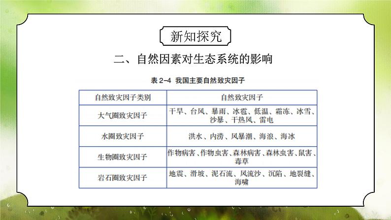 浙教版初中科学九下第2章生物与环境2.5《生态系统的稳定性》课件第7页