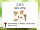浙教版科學(xué)九下2.5《生態(tài)系統(tǒng)的穩(wěn)定性》課件