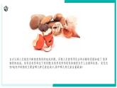 2.4 探究物質(zhì)組成的奧秘（第1課時(shí)）-初中科學(xué)七年級(jí)下冊(cè) 同步教學(xué)課件+同步練習(xí)（浙教版2024）