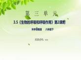 浙教版八下科學 第三章空氣與生命3.5《生物的呼吸和呼吸作用》第2課時課件