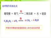 浙教版八下科學 第三章空氣與生命3.5《生物的呼吸和呼吸作用》第2課時課件