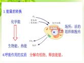 浙教版八下科學 第三章空氣與生命3.5《生物的呼吸和呼吸作用》第2課時課件