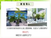 浙教版八下科學(xué) 第三章空氣與生命3.6《光合作用》課件