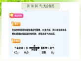 浙教版八下科學(xué) 第三章空氣與生命3.6《光合作用》課件