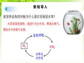 浙教版八下科學(xué) 第三章空氣與生命3.7《自然界中的氧循環(huán)和碳循環(huán)》課件