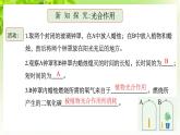 浙教版八下科學(xué) 第三章空氣與生命3.7《自然界中的氧循環(huán)和碳循環(huán)》課件