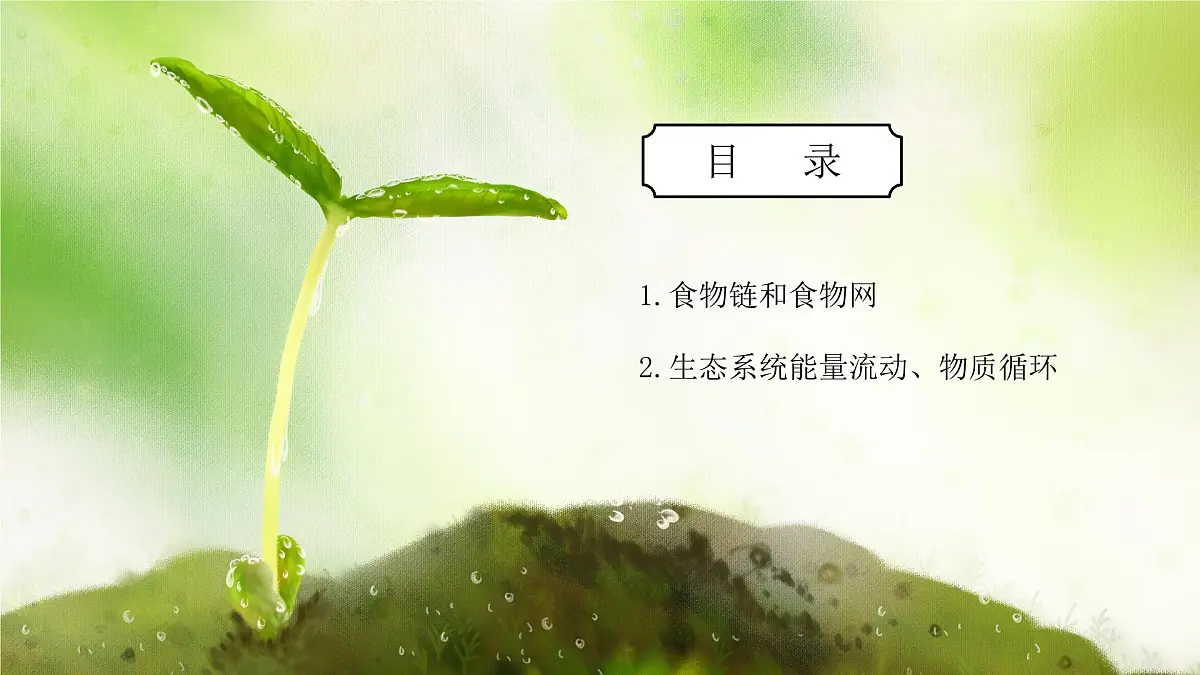 浙教版初中科学九下第2章生物与环境2.4.2《生态系统的结构和功能》课件第2页