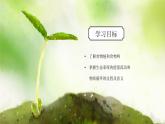 浙教版科學(xué)九下2.4.2《生態(tài)系統(tǒng)的結(jié)構(gòu)和功能》課件